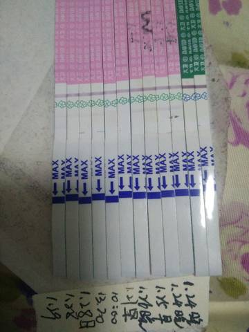 journal_insert_pic_658311130