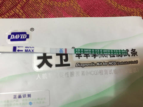 journal_insert_pic_659171092