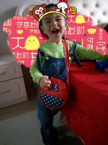 journal_insert_pic_659406860