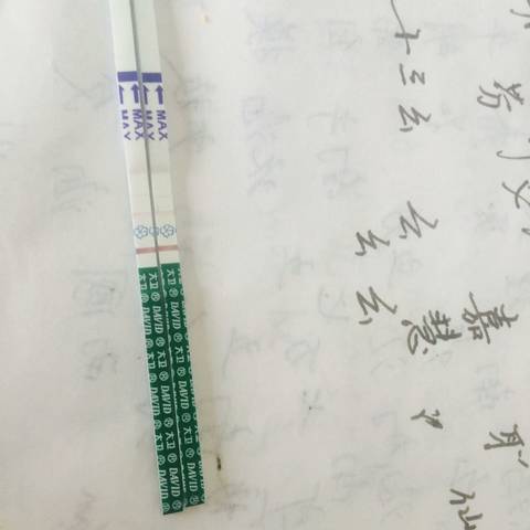 journal_insert_pic_660601581