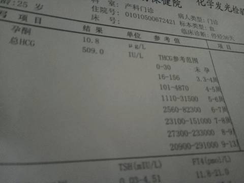 journal_insert_pic_661794228