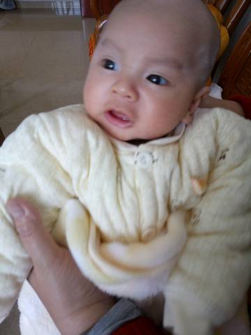 journal_insert_pic_662586396