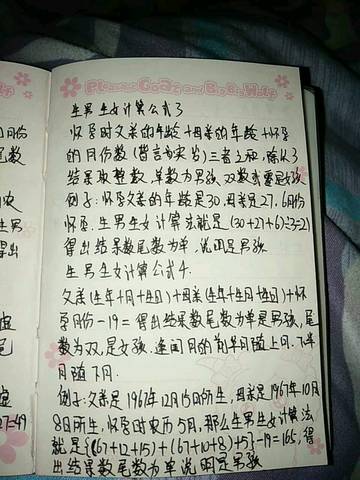 journal_insert_pic_662410884