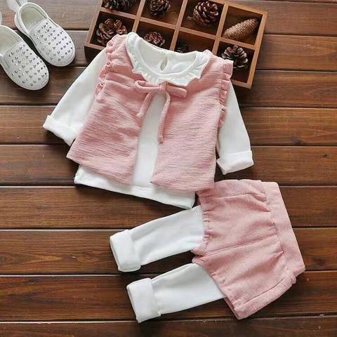 journal_insert_pic_662597748