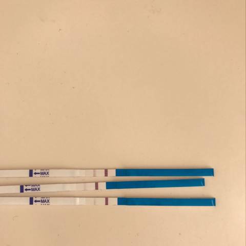 journal_insert_pic_662408018