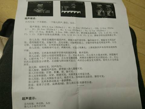 journal_insert_pic_663822477