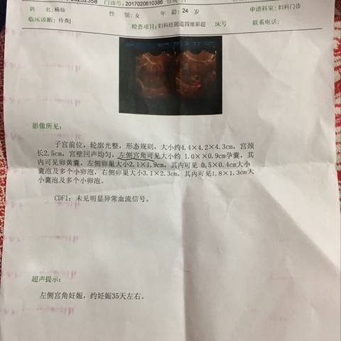 journal_insert_pic_664599505