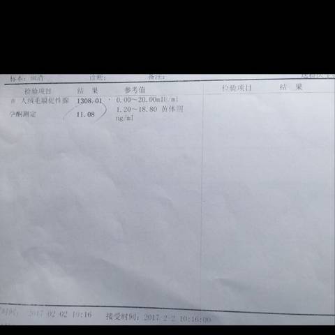 journal_insert_pic_666130485