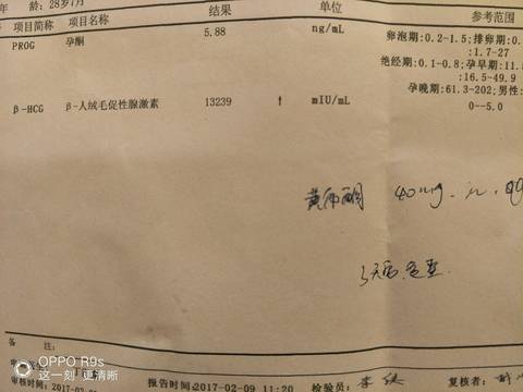 journal_insert_pic_667122816