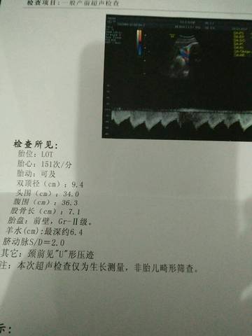 journal_insert_pic_667347042