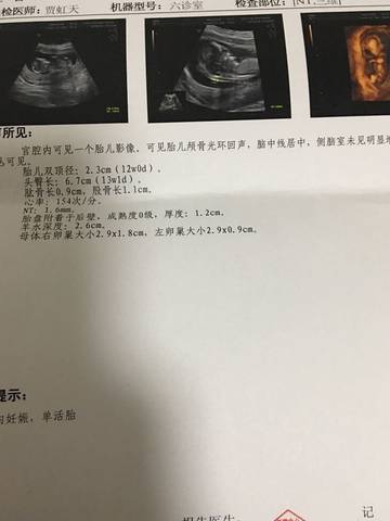 journal_insert_pic_667640286