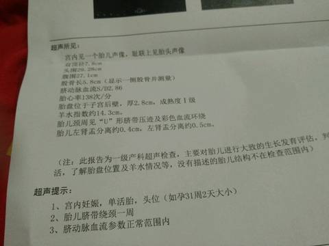 journal_insert_pic_668410966