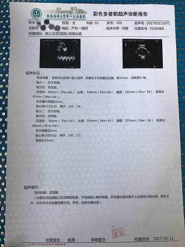 journal_insert_pic_668784389