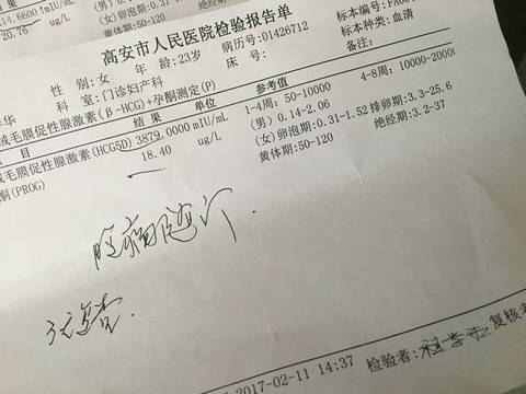 journal_insert_pic_668527879