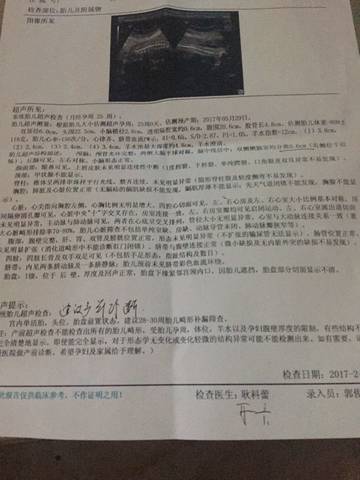 journal_insert_pic_670126362