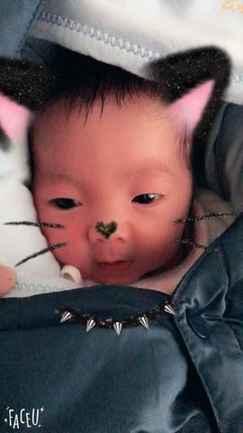 journal_insert_pic_672957411