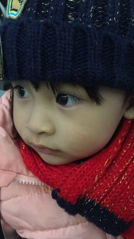 journal_insert_pic_674044901