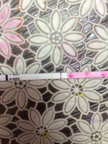 journal_insert_pic_674568979