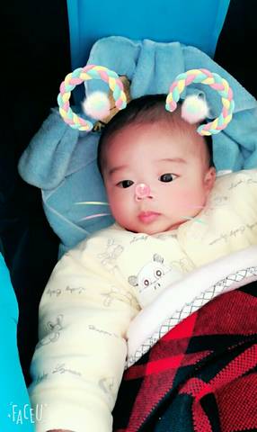 journal_insert_pic_674068531