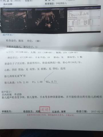 journal_insert_pic_675074051