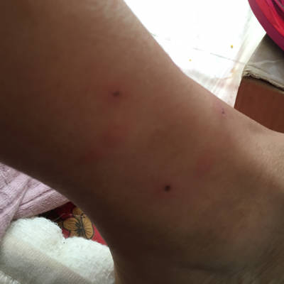 journal_insert_pic_675060079