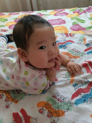 journal_insert_pic_675054242