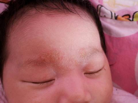 journal_insert_pic_675010253