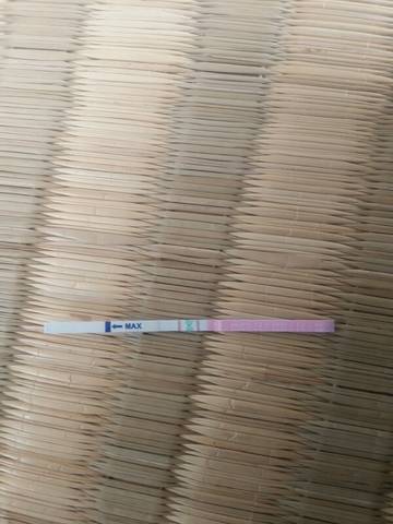 journal_insert_pic_675848707