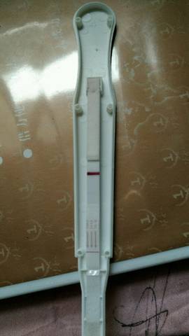 journal_insert_pic_676499750