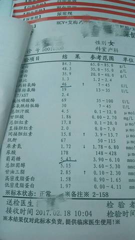 journal_insert_pic_677809529