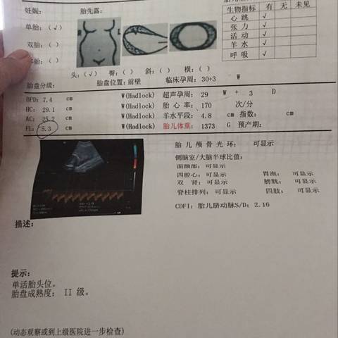 journal_insert_pic_678663604