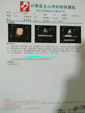 journal_insert_pic_678999118