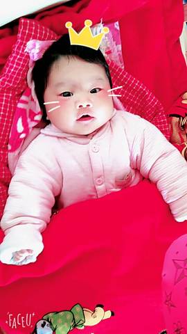 journal_insert_pic_679609213