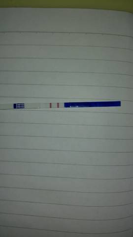 journal_insert_pic_679271067