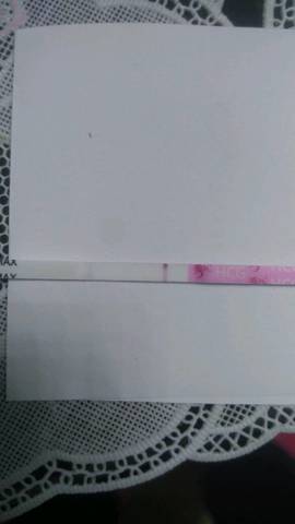 journal_insert_pic_679533676