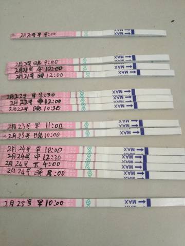 journal_insert_pic_679986124