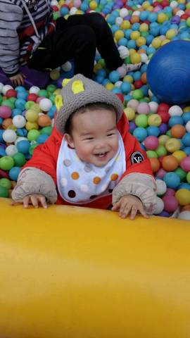 journal_insert_pic_681073460