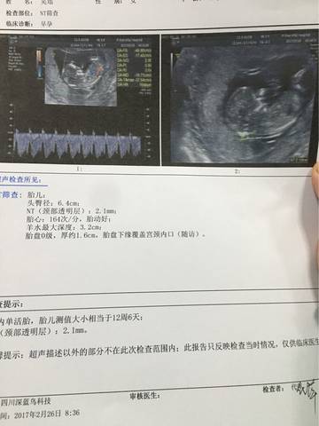 journal_insert_pic_680720526