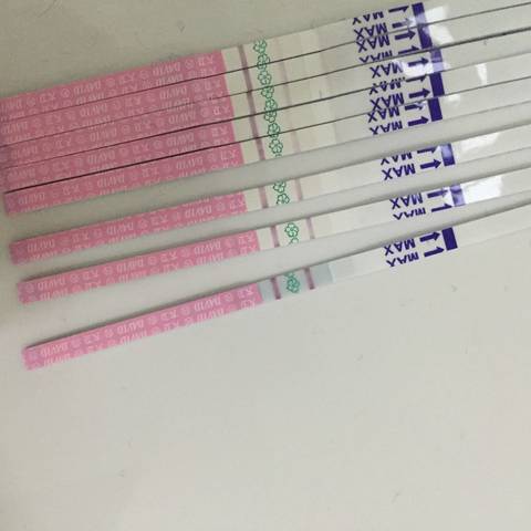 journal_insert_pic_681123134