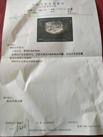 journal_insert_pic_682909355