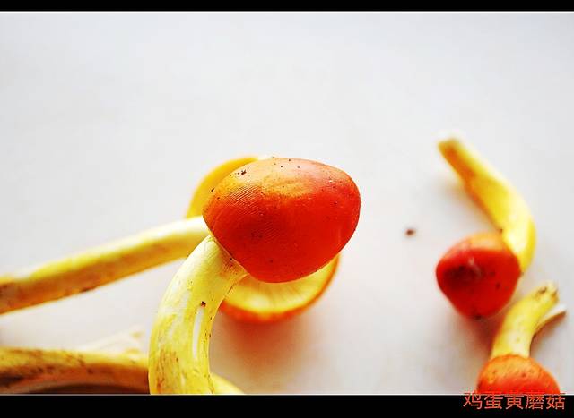 舌尖上的回家——鸡蛋黄蘑菇