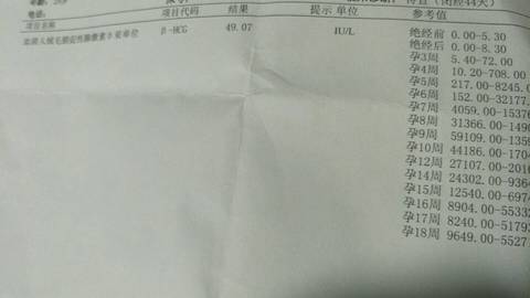 journal_insert_pic_682848122