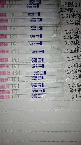 journal_insert_pic_683700971