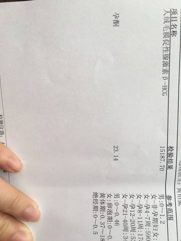 journal_insert_pic_685706691