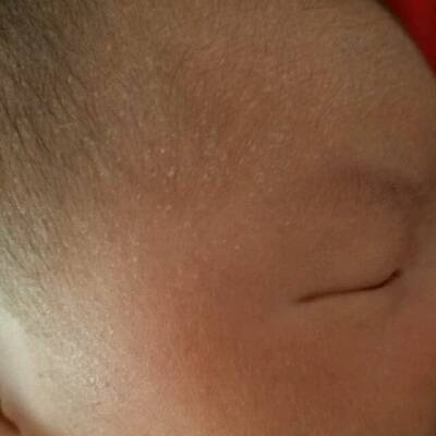 journal_insert_pic_685532911