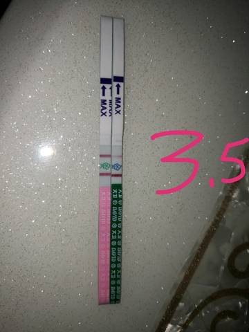journal_insert_pic_686280791