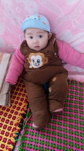 journal_insert_pic_686912170
