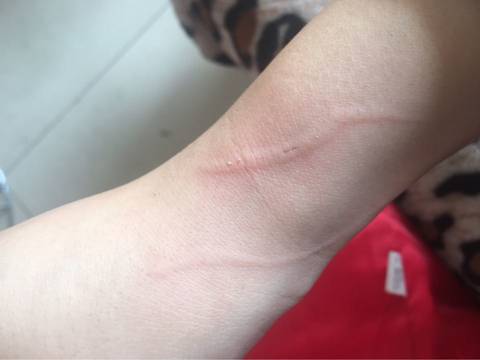 journal_insert_pic_686451558