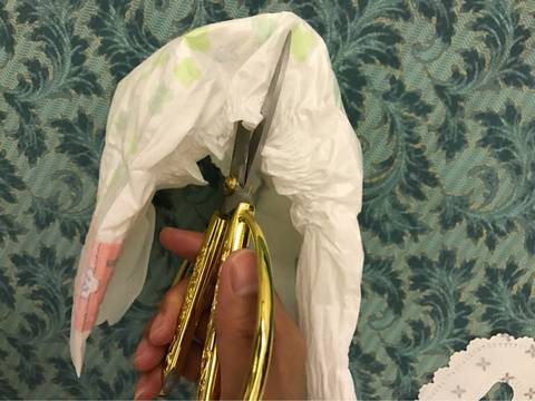 journal_insert_pic_686870472