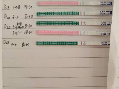 journal_insert_pic_686291161